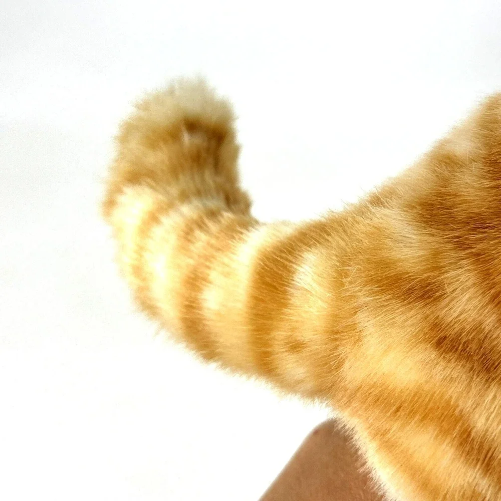 FOLKMANIS Puppet Orange Tabby Cat Kitten 9